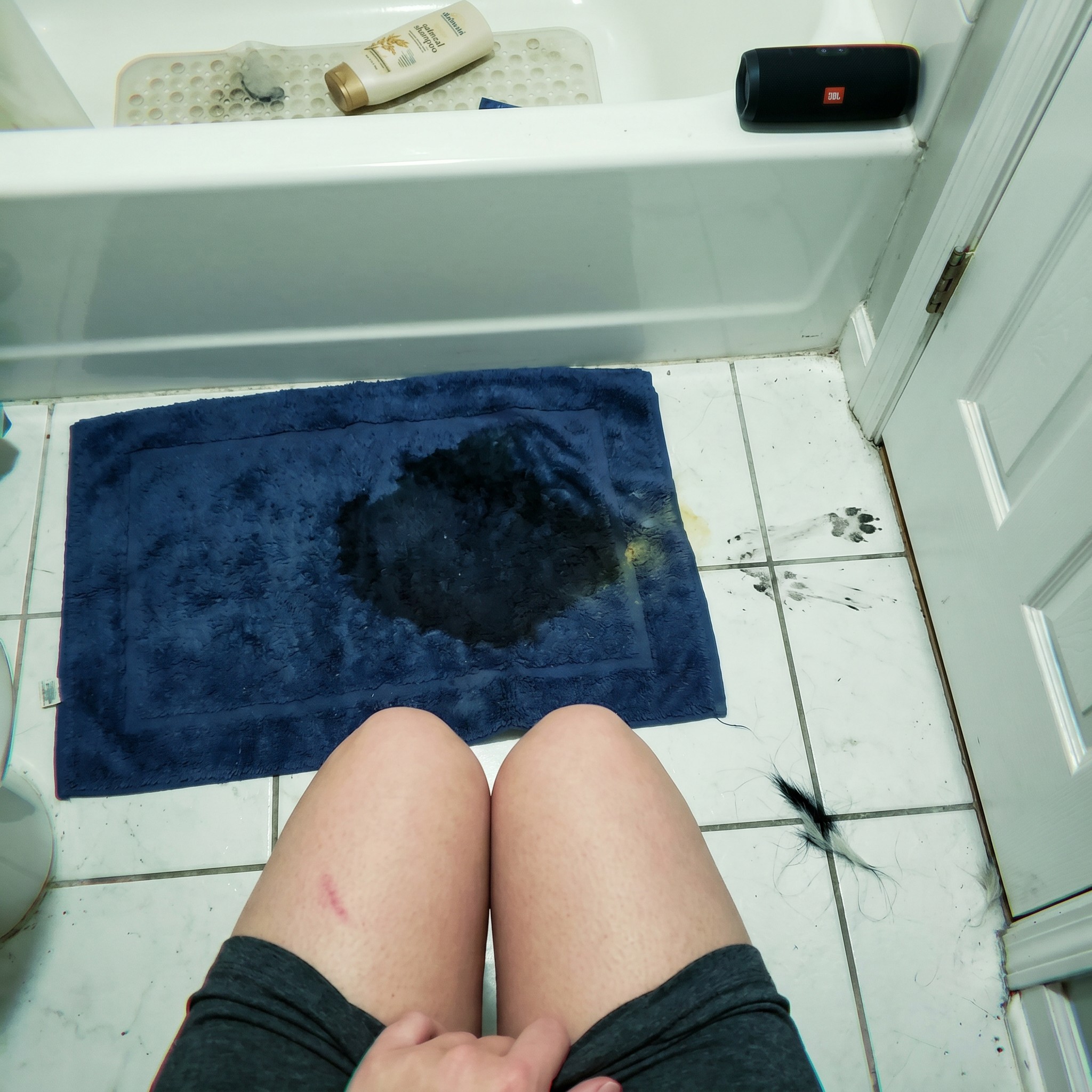 Rafitheminiaussie Facebook ad: The Bath My Husky Finally Stopped Hating