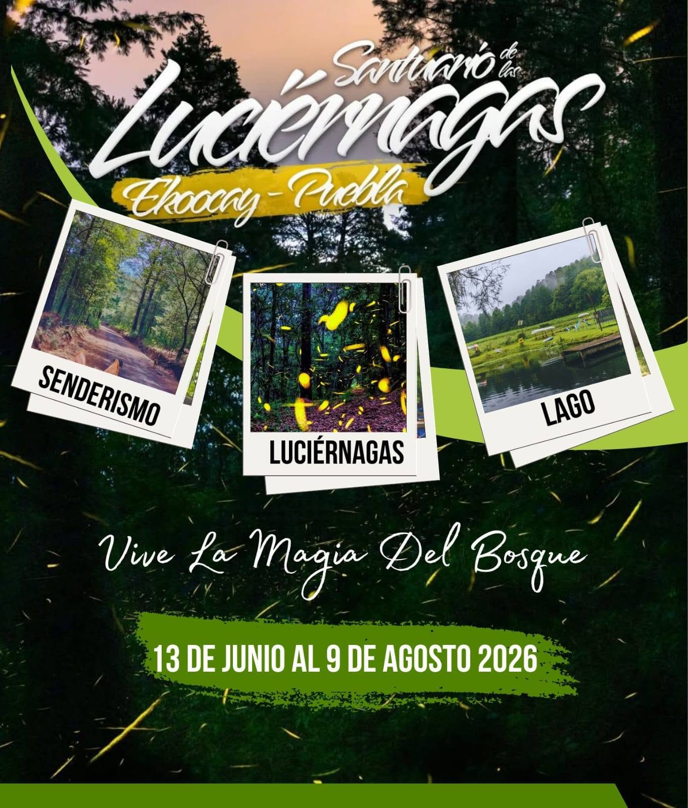 Santuario De Las Luciernagas Puebla Facebook ad: Recorre por las noches el bosque rodeado por…