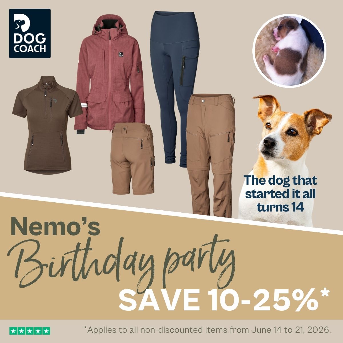 DogCoach Facebook ad