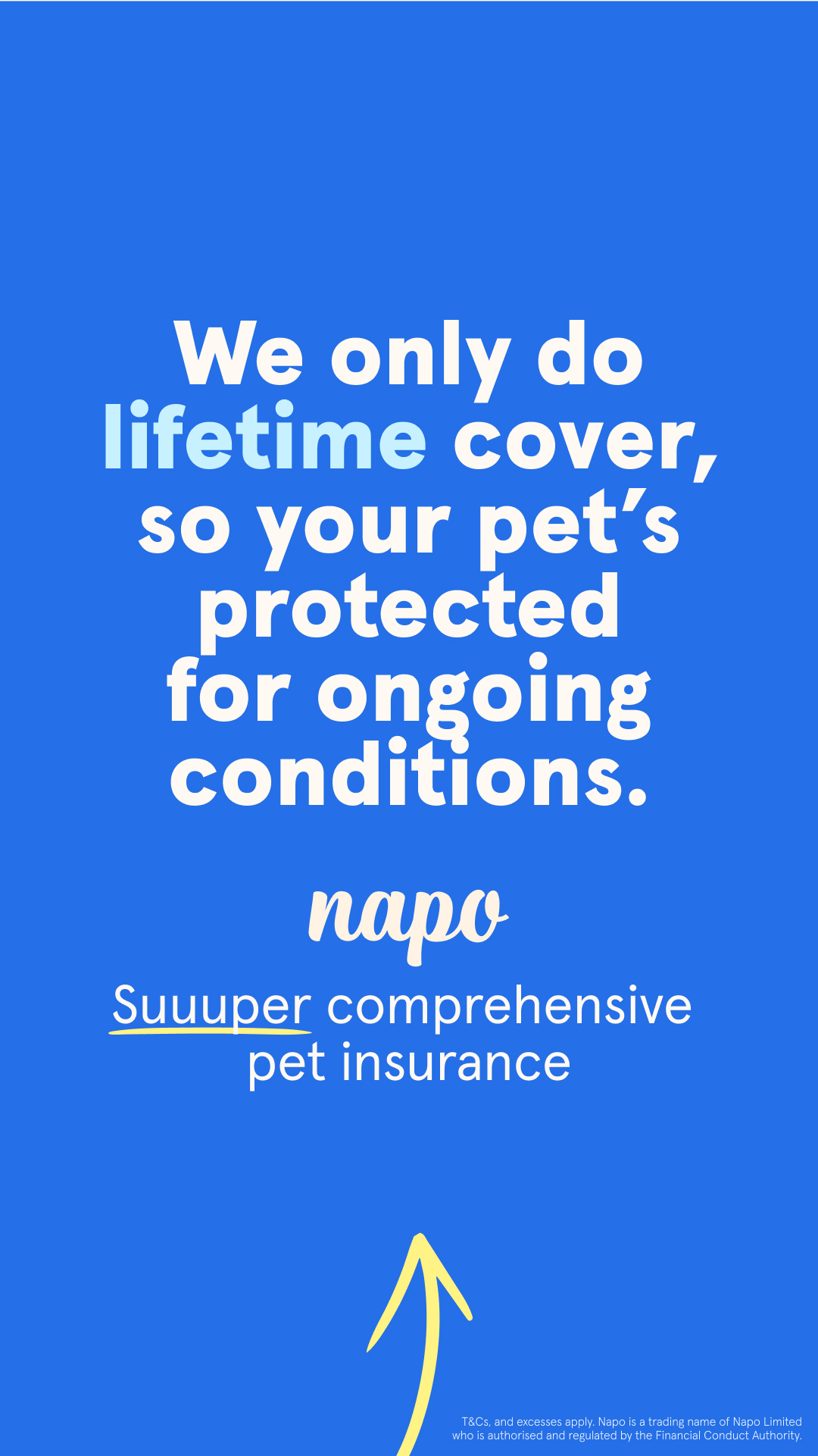 Napo Pet Insurance Facebook ad