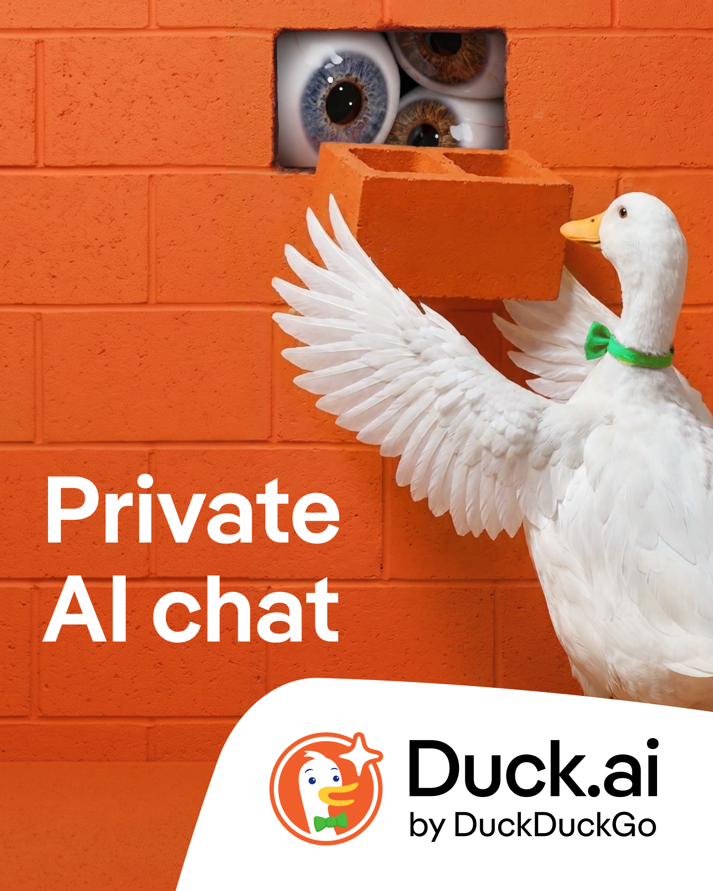 DuckDuckGo Facebook ad