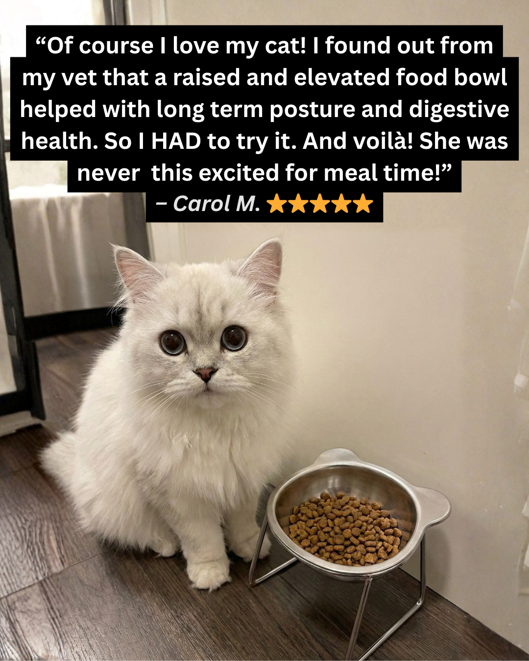 The Friendly Feline Facebook ad: Read this if you still use a standard cat bowl