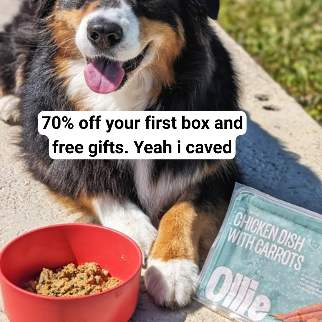 Abby Power Facebook ad