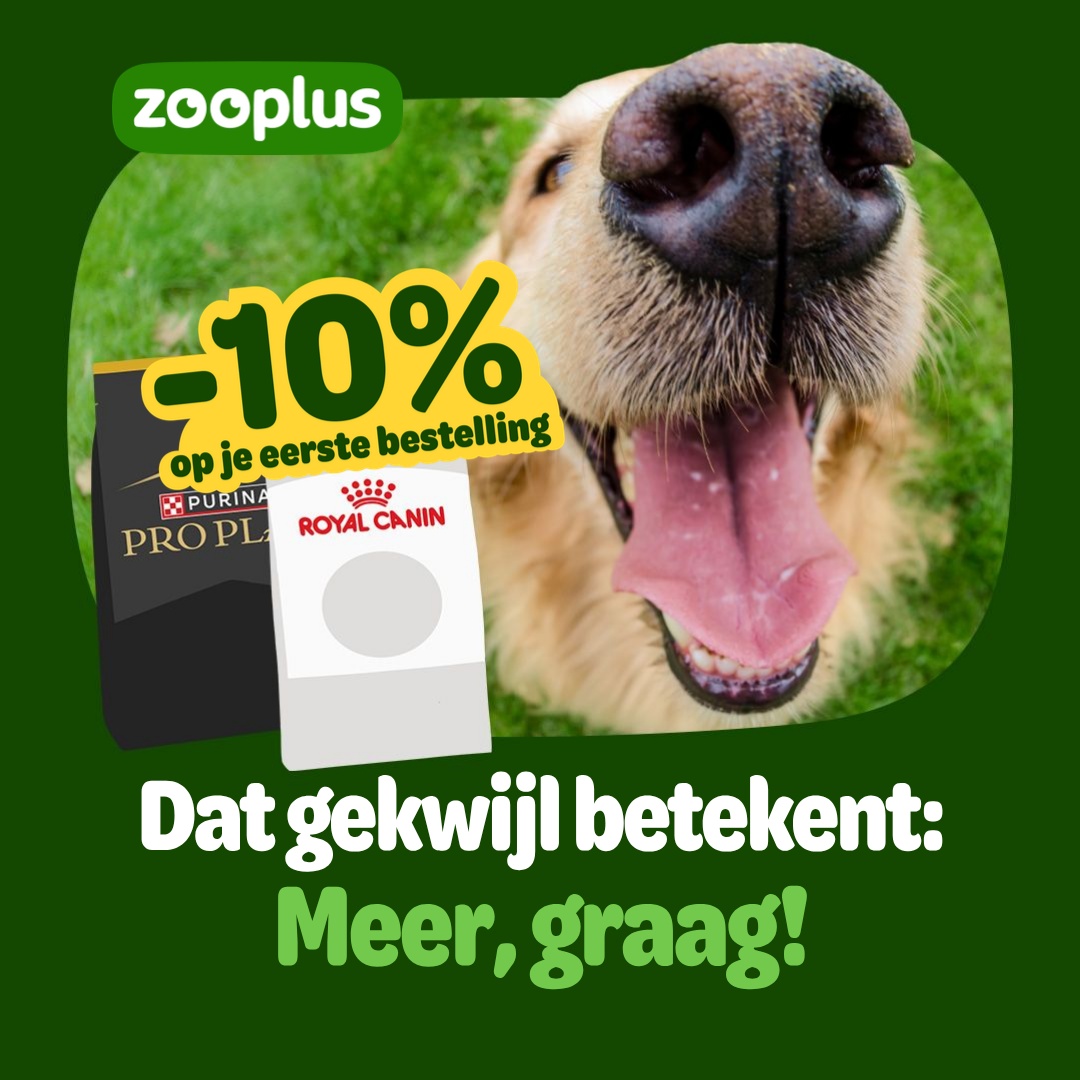 zooplus Facebook ad: Alles voor je hond kopen? De beste prijs bij zooplus!