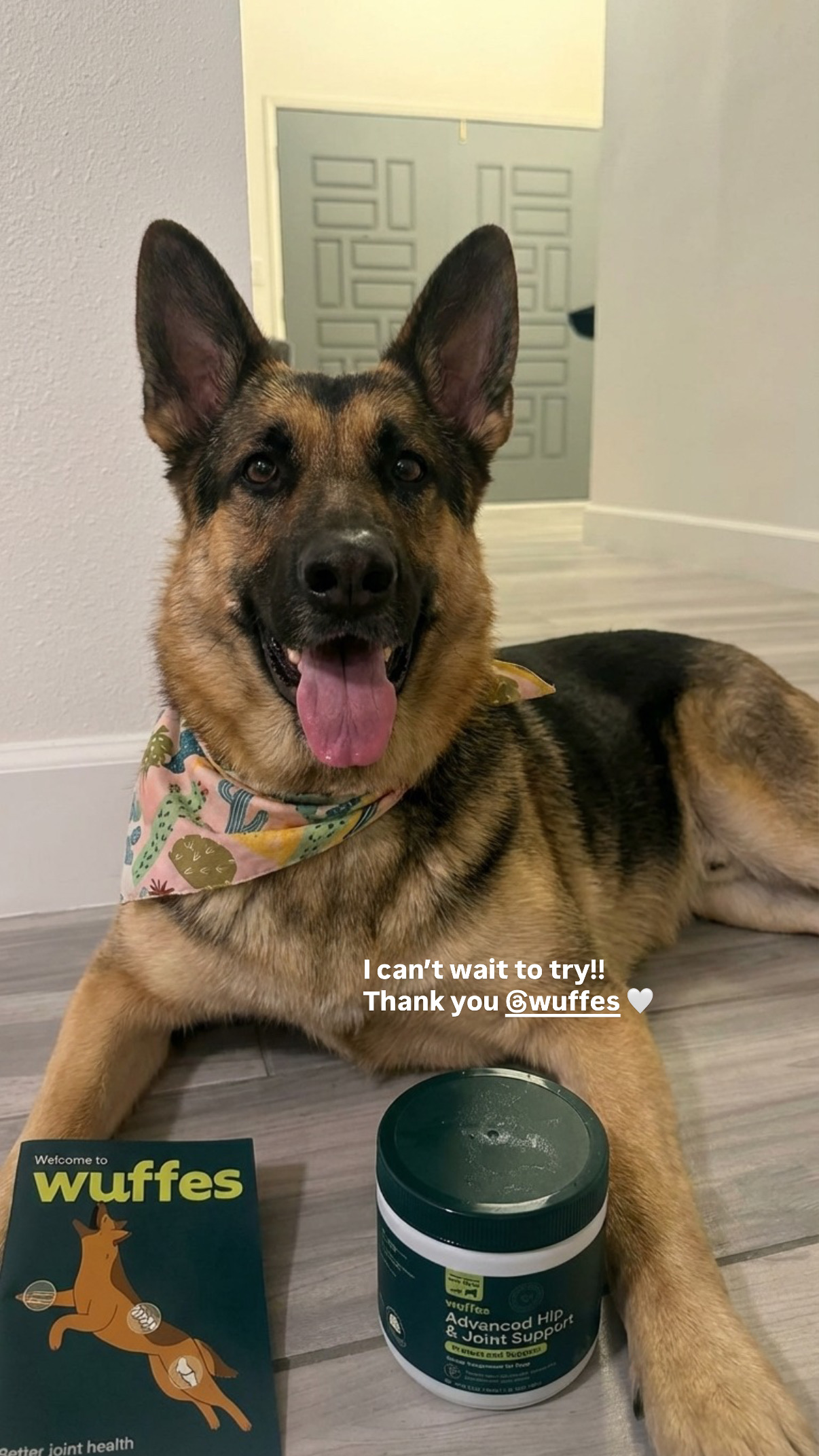 Wuffes Facebook ad