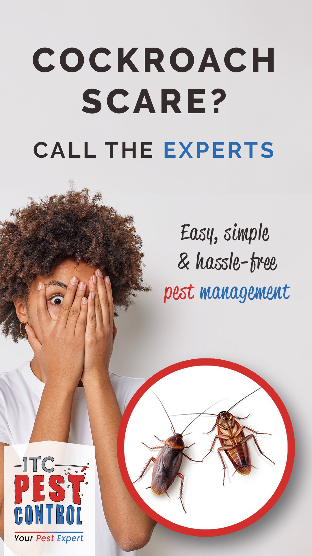 ITC Pest Control Facebook ad from Jan 23, 2025