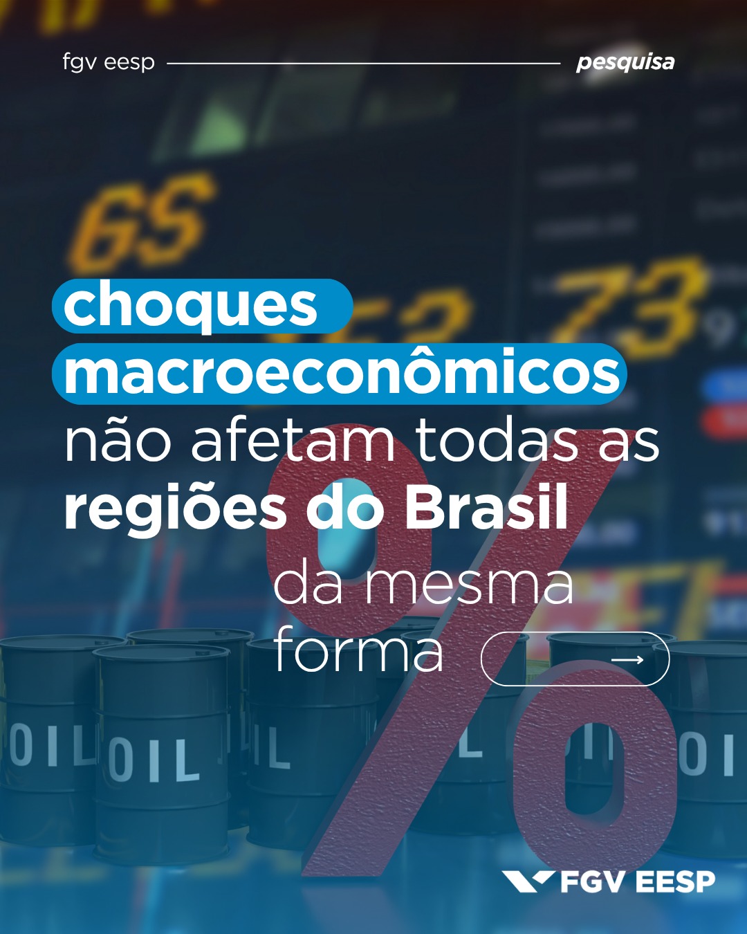 FGV EESP - Escola de Economia de São Paulo Facebook ad: Quando a economia treme, cada região sente diferente.