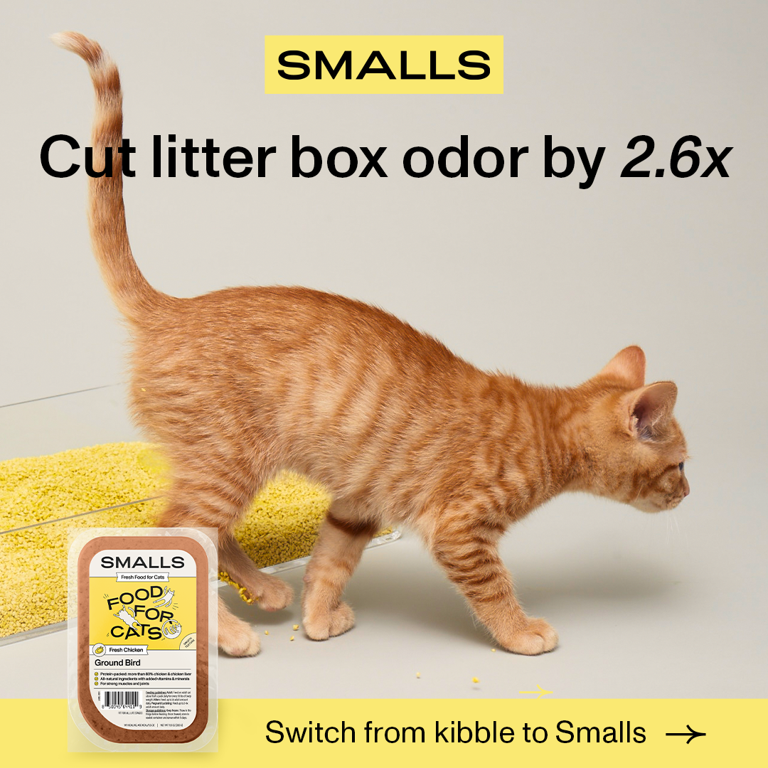 Smalls Facebook ad