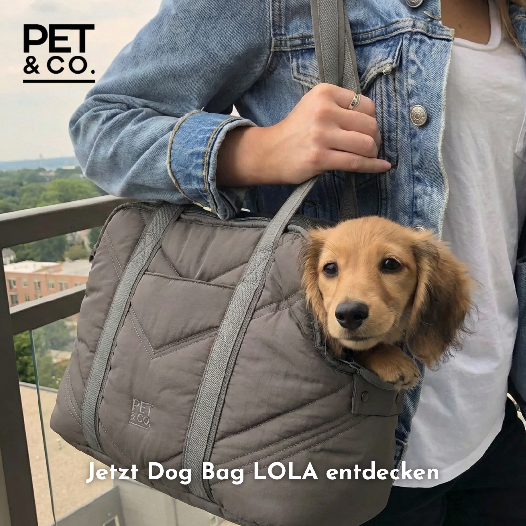 PET & Co. Zürich Facebook ad: Code: Welcome25