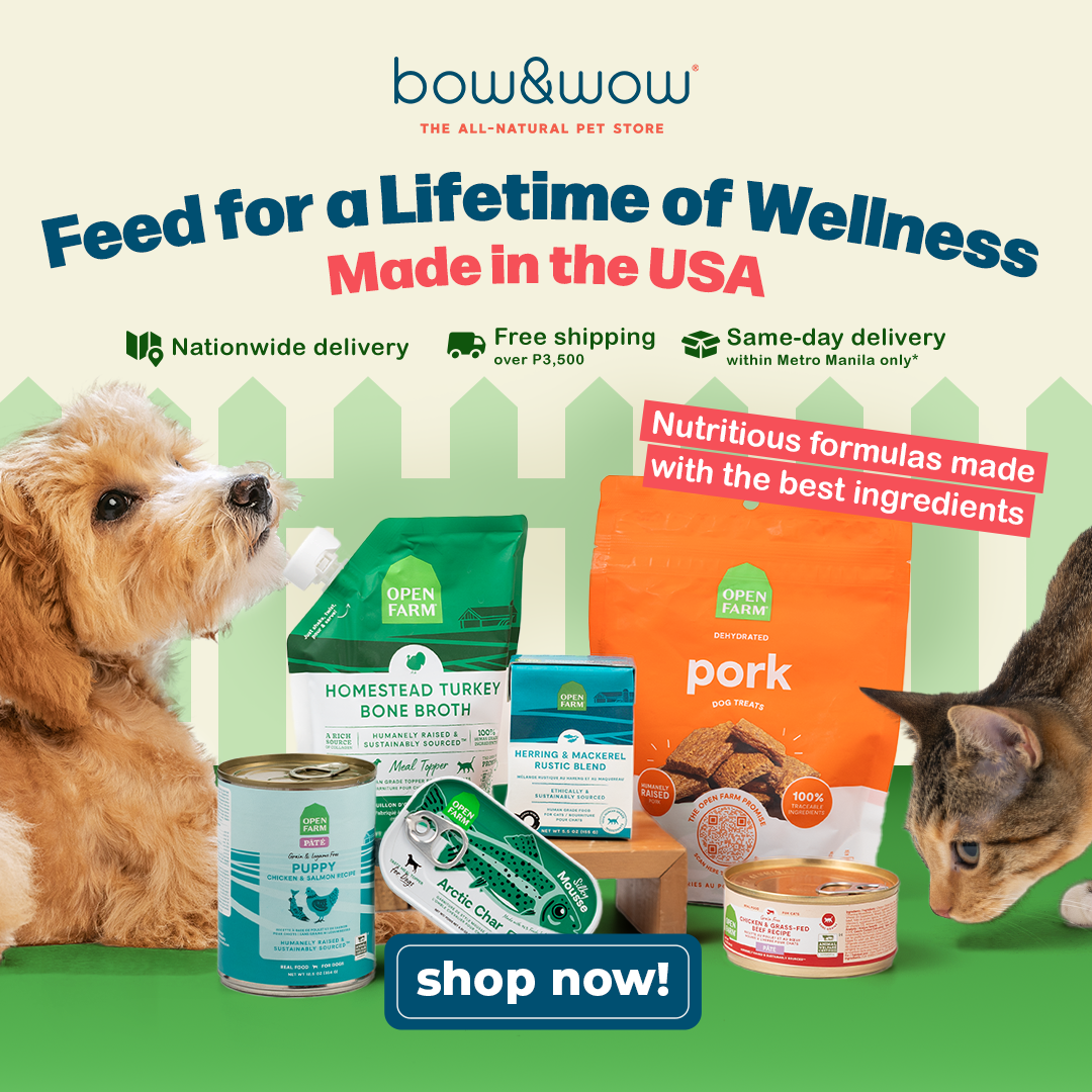 Bow & Wow – The All-Natural Pet Store Facebook ad