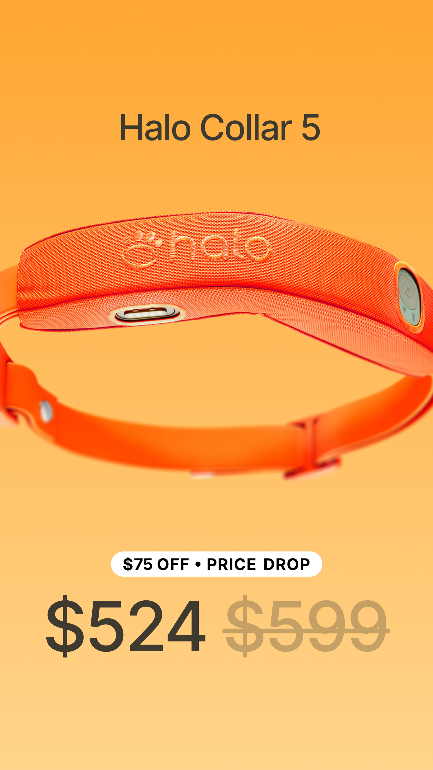 Halo Collar Facebook ad