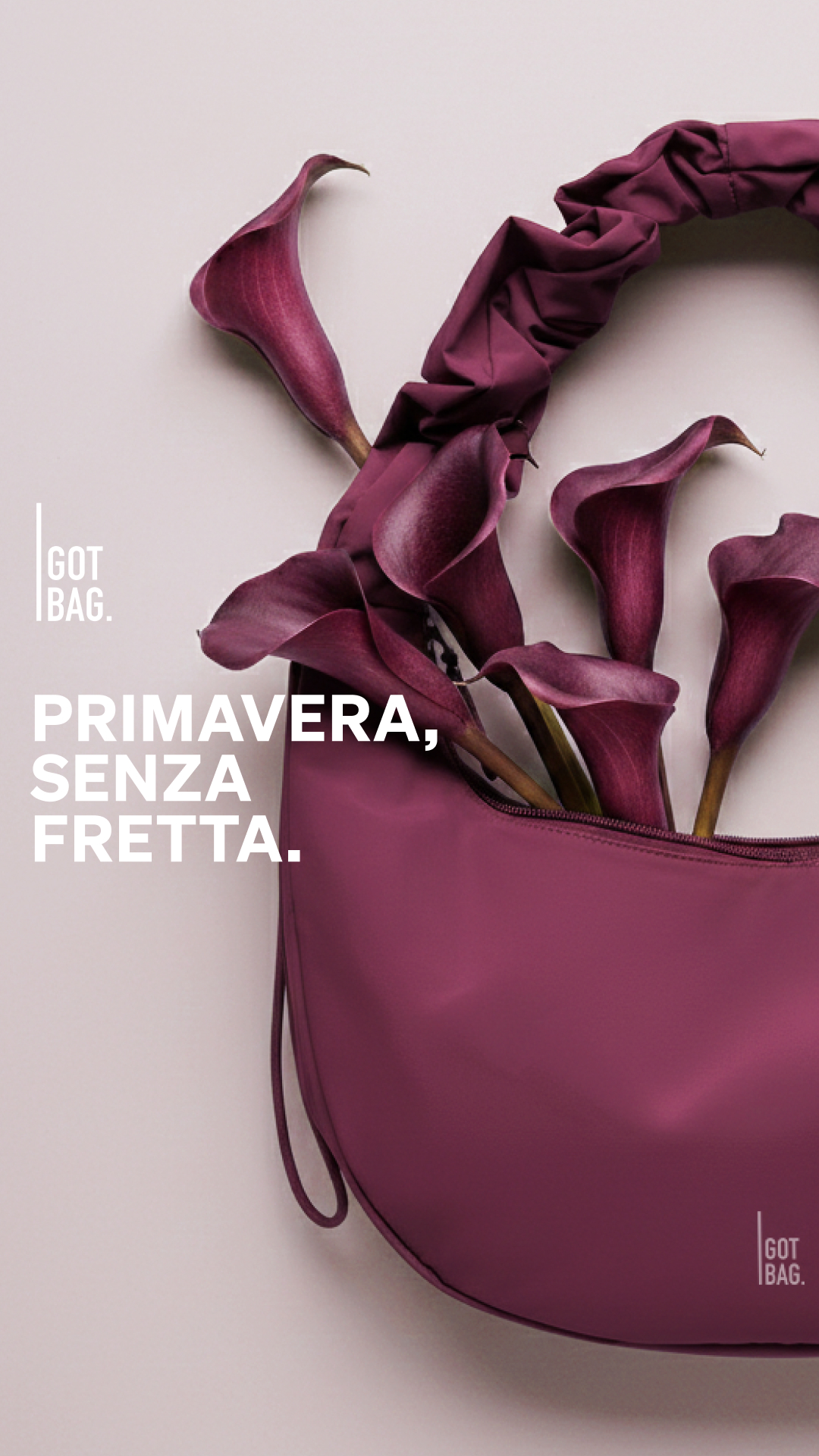 GOT BAG Facebook ad