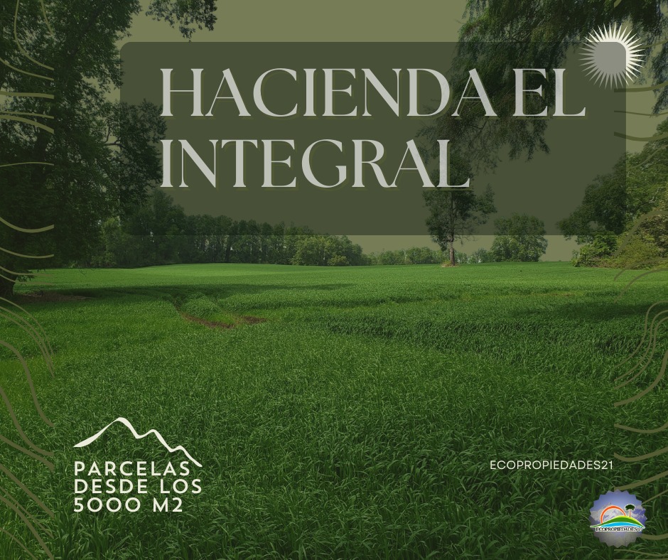 Ecopropiedades 21 Facebook ad: Tu Refugio Natural: Invierte en un Futuro Verde…