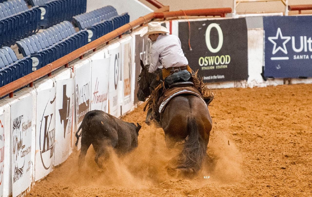 100X Equine Facebook ad