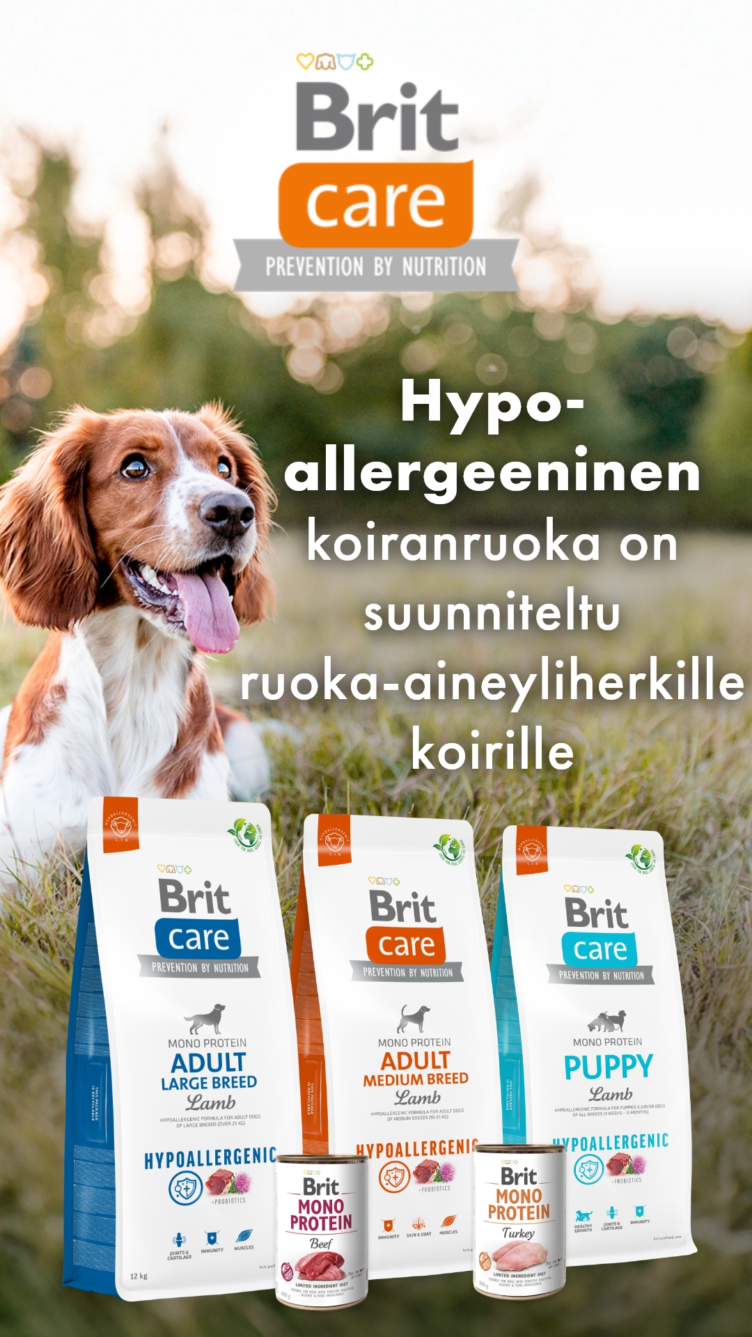 PetenKoiratarvike.com Facebook ad