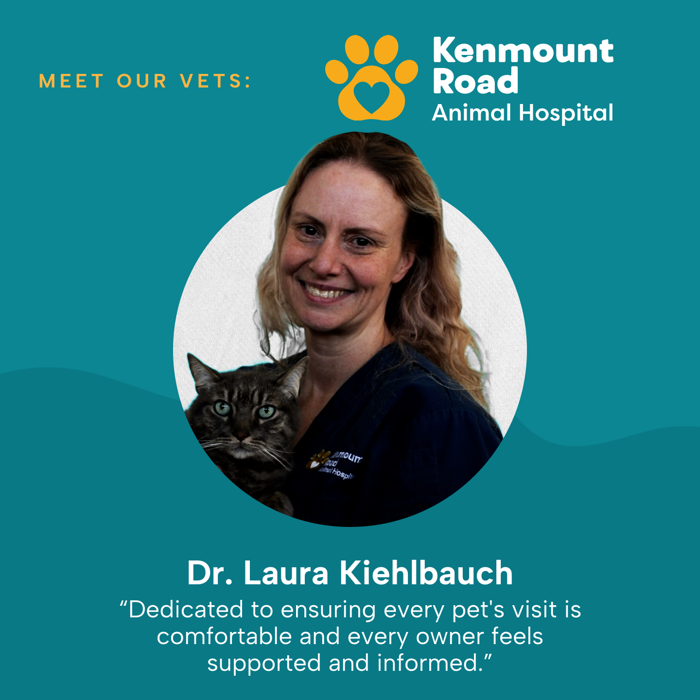 Kenmount Road Animal Hospital Facebook ad: Home of Dr.