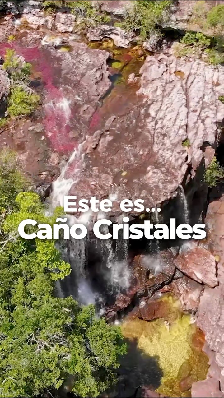 Awake.travel Facebook ad: Esto es Caño Cristales.