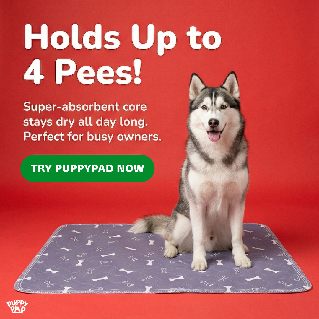 PuppyPad Facebook ad
