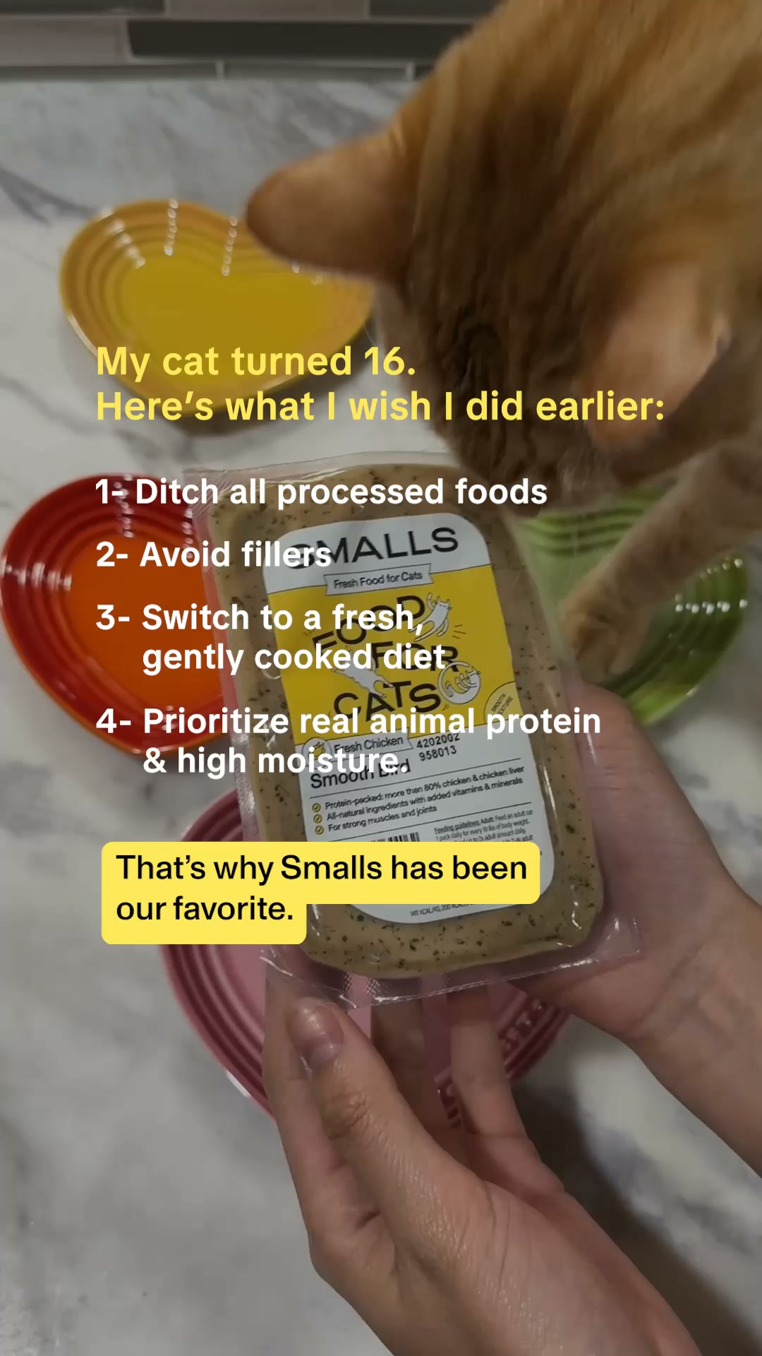 Smalls Facebook ad: Human-Grade Fresh Cat Food