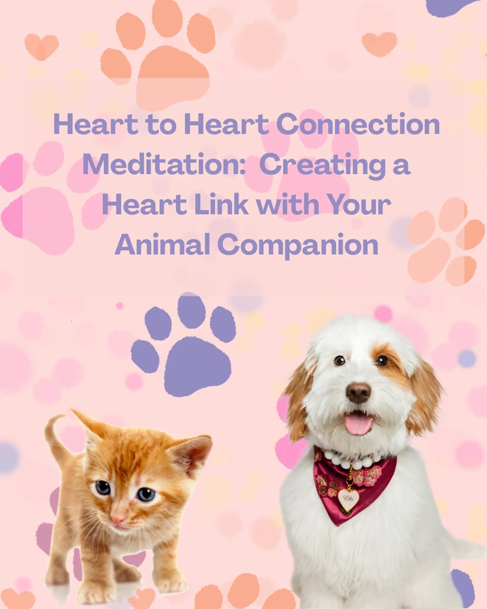 Enchanted Forest Reiki Center, Spiritual Items 'n More Facebook ad