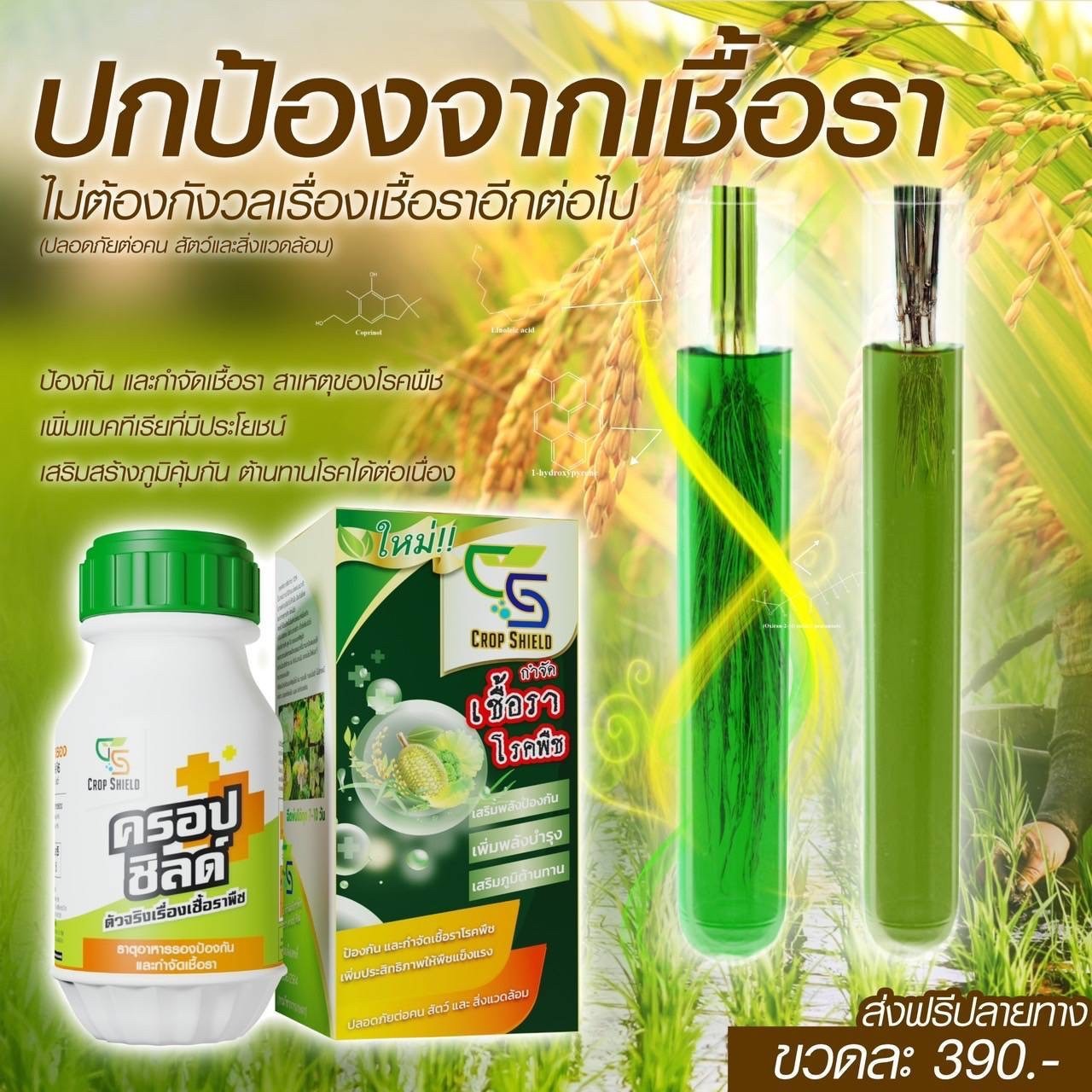 ปุ๋ยทางใบ ในนาข้าว เกษตรยุคใหม่ เห็นผลไว Facebook ad: เพียง 15บาทต่อไร่ ก็ ปกป้องผลผลิตของคุณได้ สนใจทักเลย