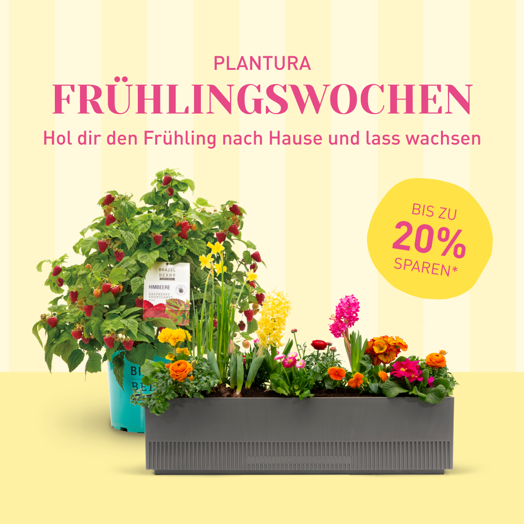 Plantura Facebook ad