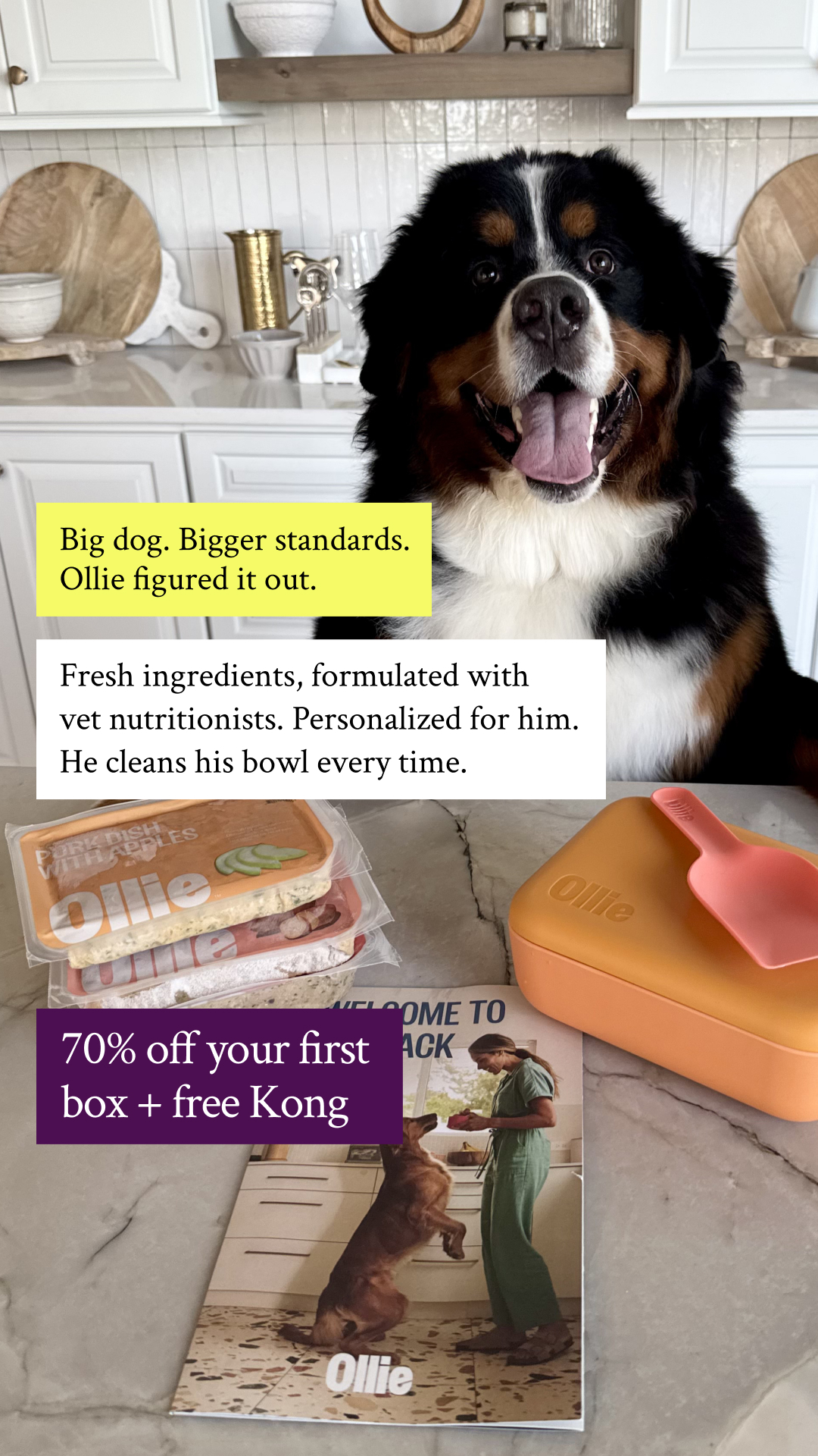 Bogey Bear the Berner Facebook ad