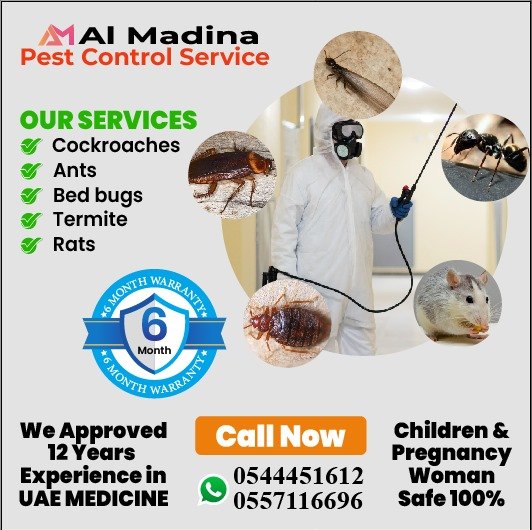 Al Madina Pest Control Service Facebook ad: SPECIAL WEEKEND PEST CONTROL OFFER