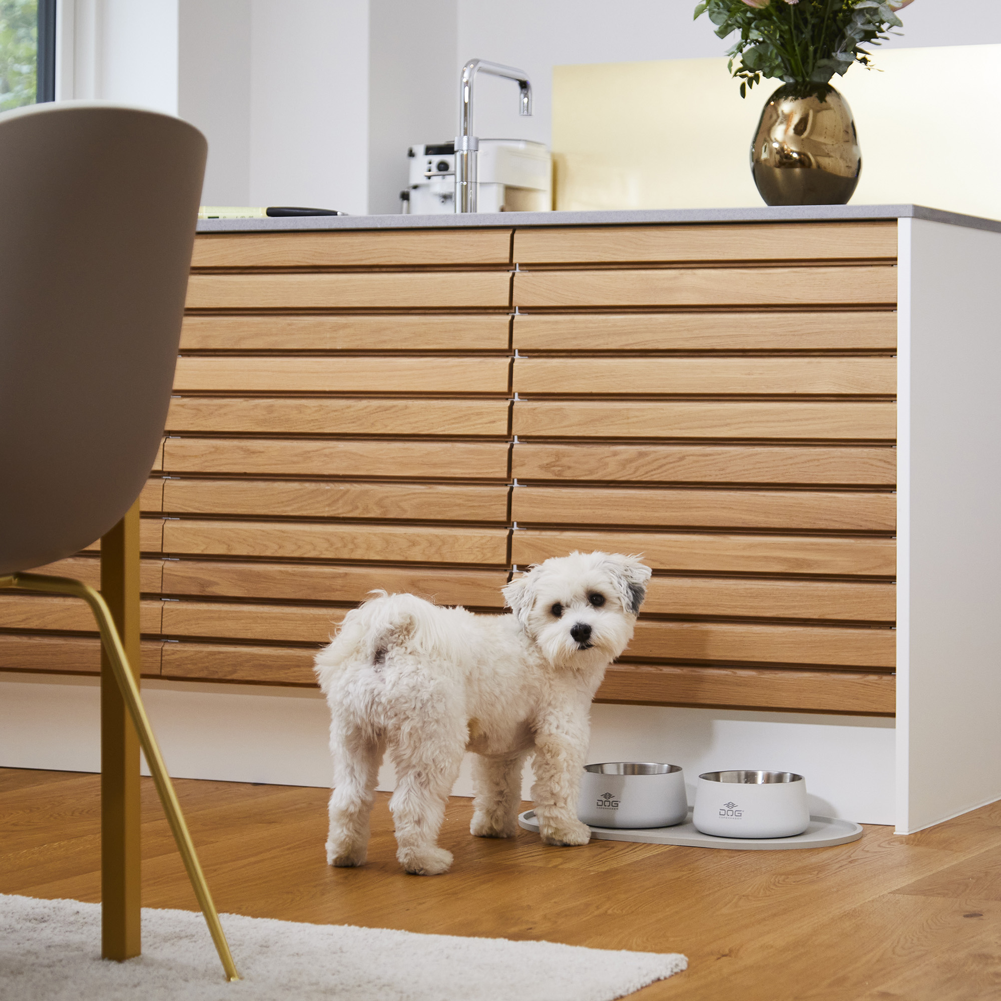 DOG Copenhagen Facebook ad