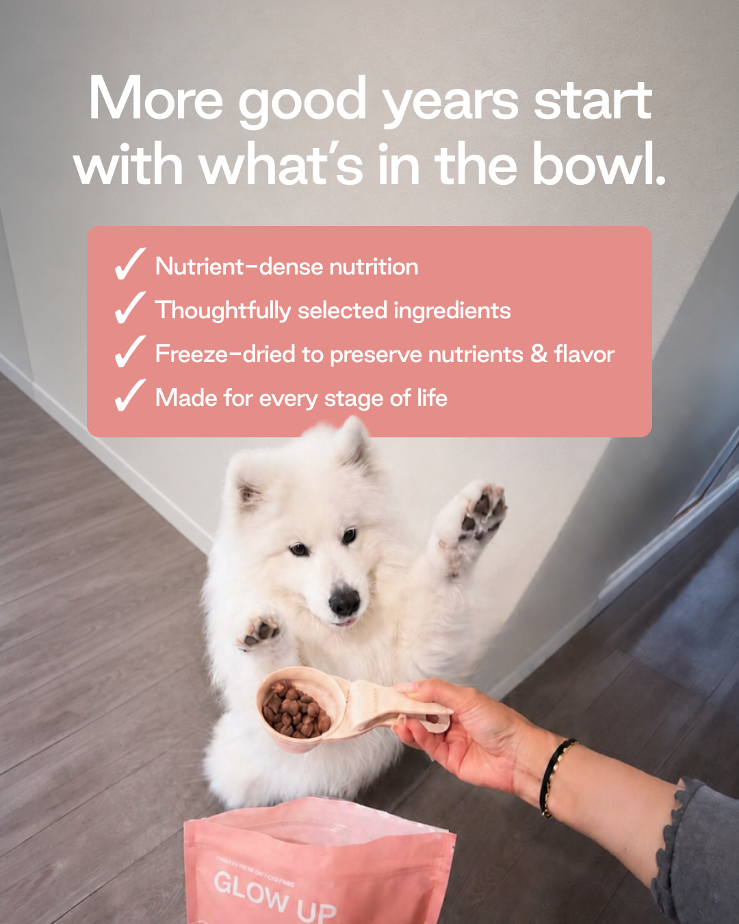 Maxbone Facebook ad: Try maxbone Freeze-Dried for 65% OFF your first trial