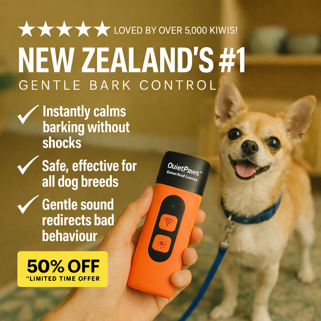 Hunters Doggy Daycare Facebook ad