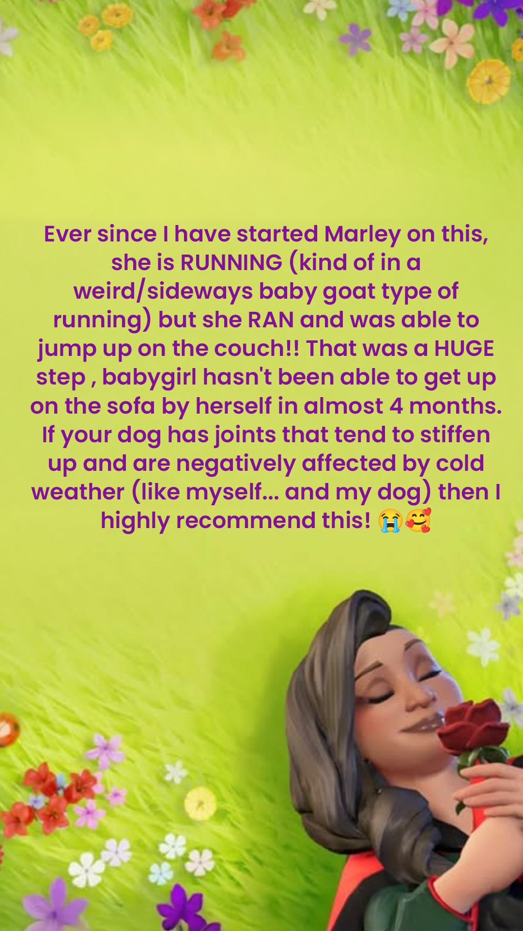 Wuffes Facebook ad