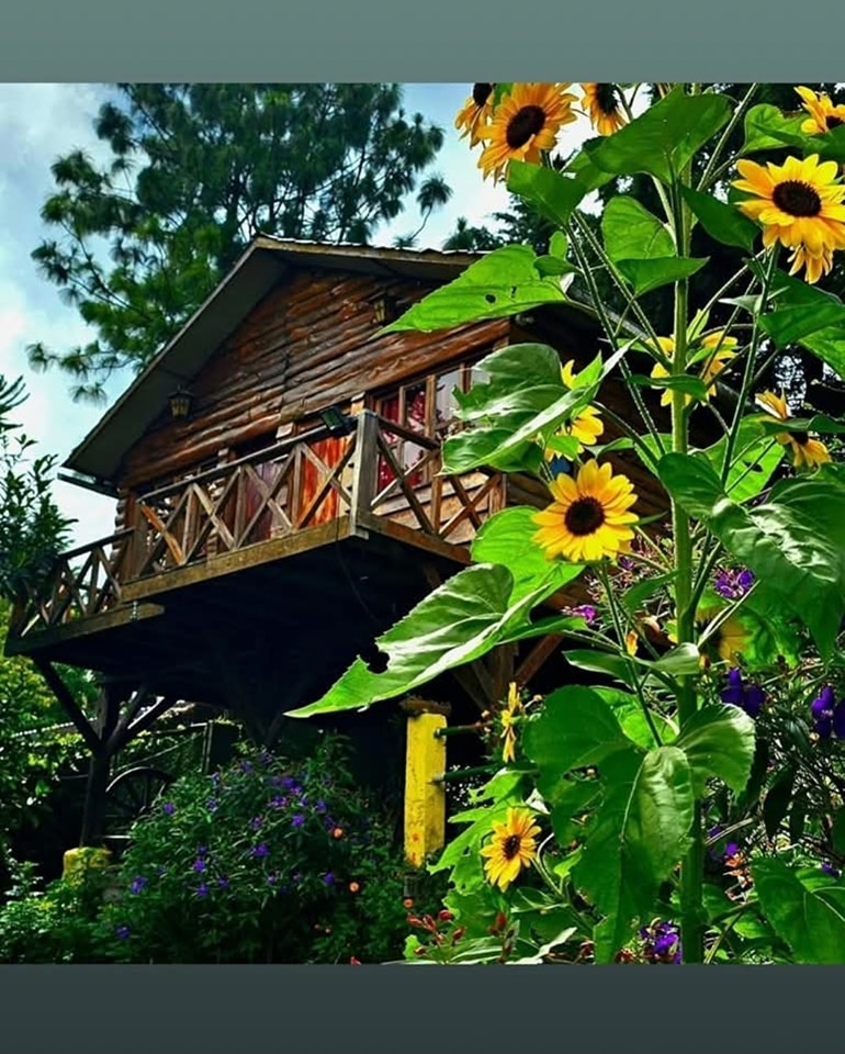 Eco Cabañas El Boquerón Facebook ad: ¡Escápate a la naturaleza en lo más alto…