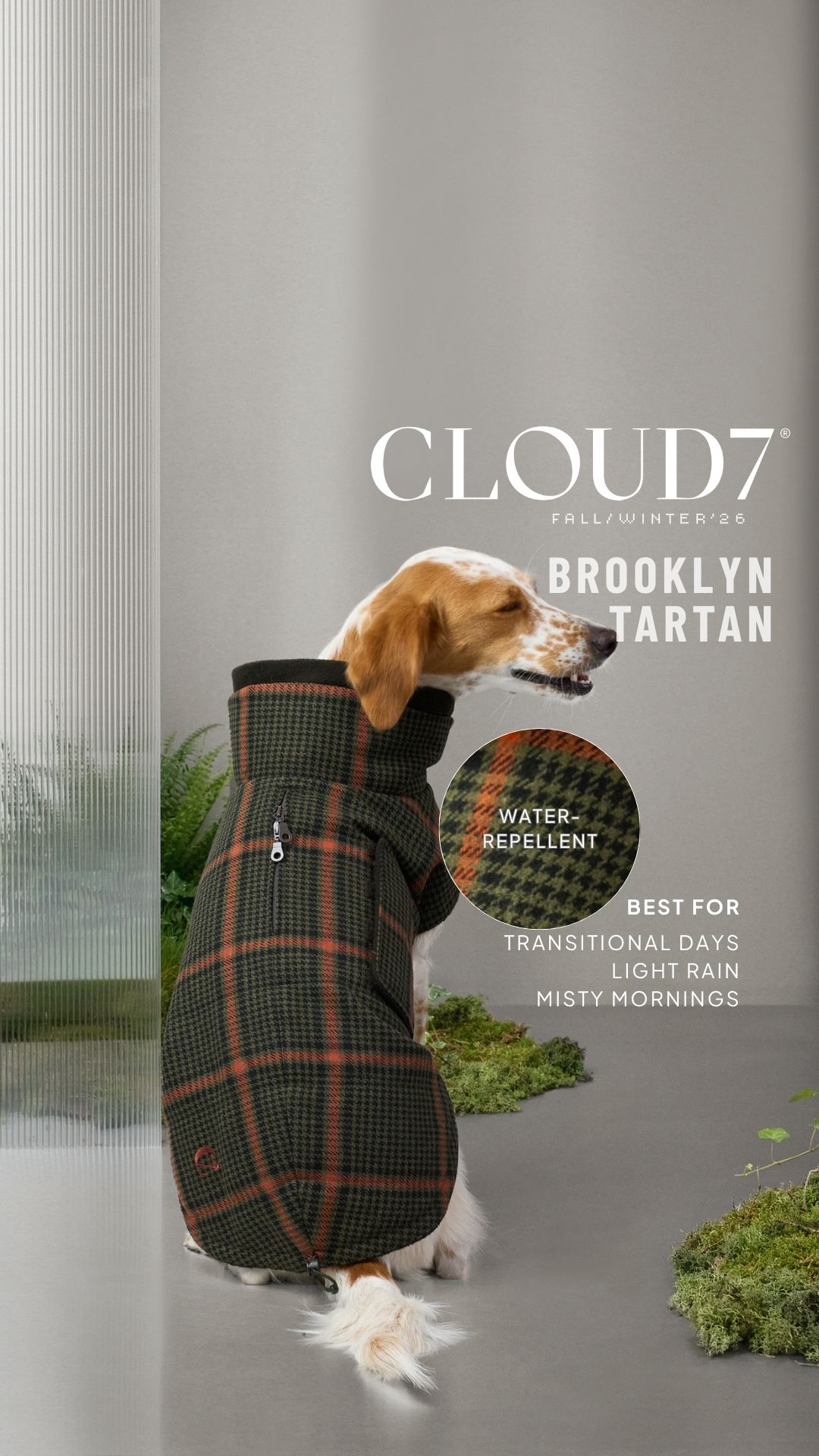 Cloud7 Facebook ad