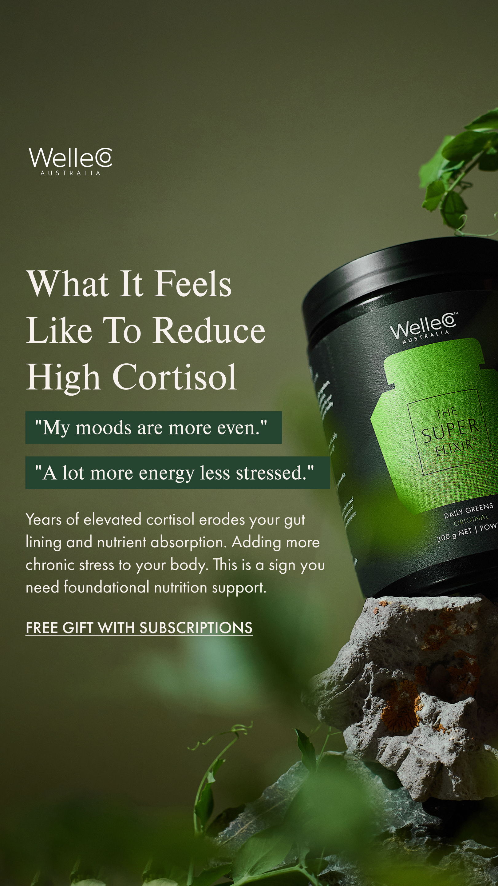 WelleCo Facebook ad