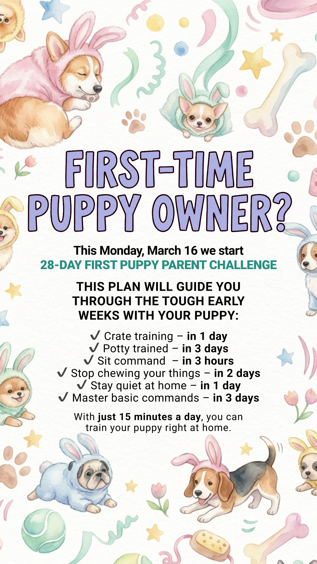 Woofz - Puppy Training Facebook ad