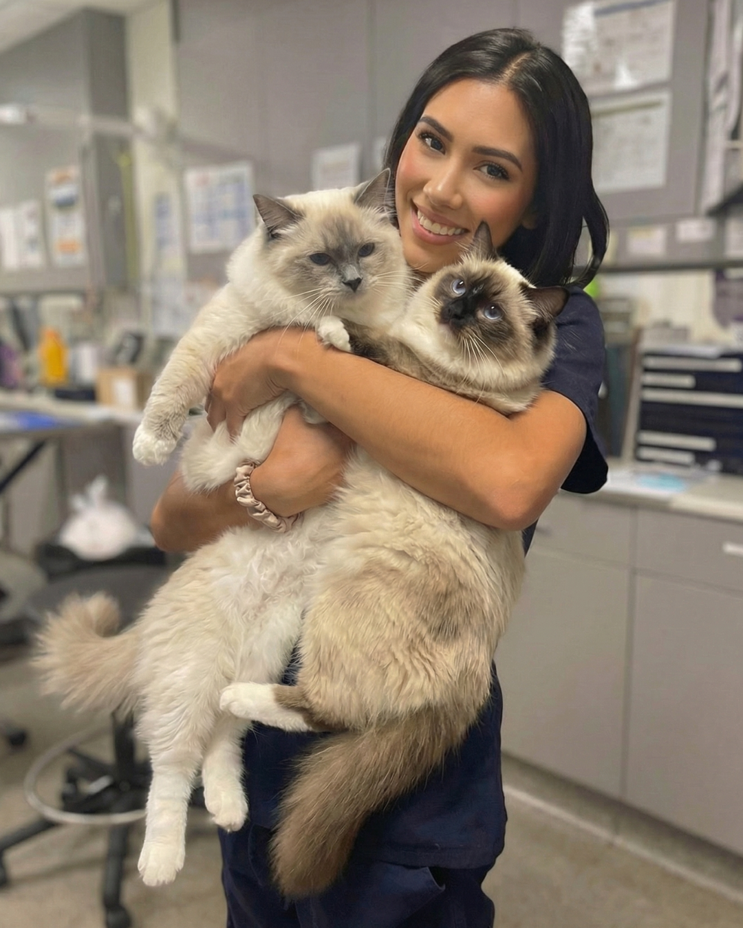 Paws & Care Vet Facebook ad
