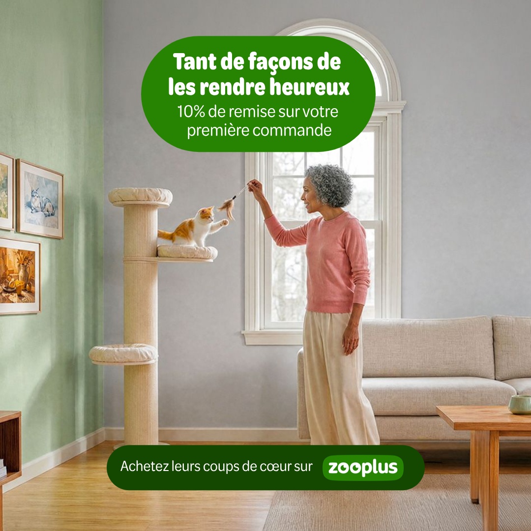 zooplus Facebook ad: Nourriture et accessoires pour animaux