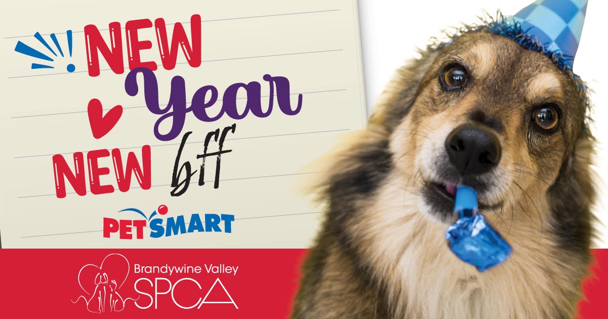 Brandywine Valley SPCA Facebook ad: New Year, New BFF: Plymouth Meeting EAC