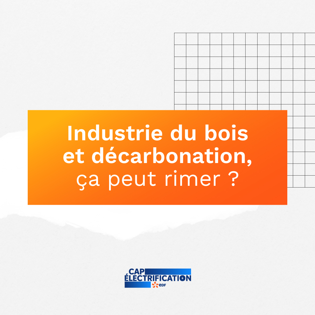 Les Echos Facebook ad