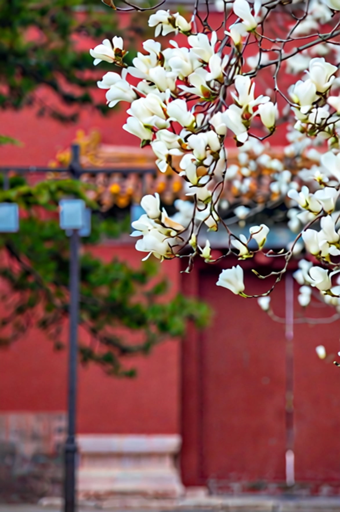 Visit Beijing Facebook ad
