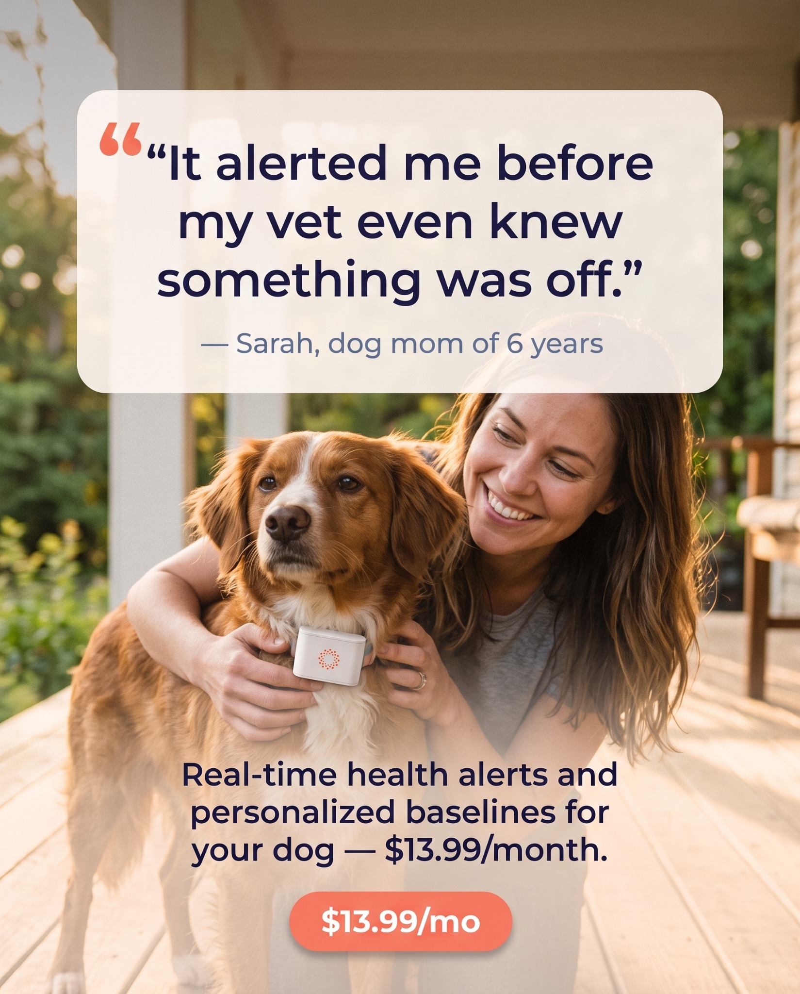 Maven Pet Facebook ad