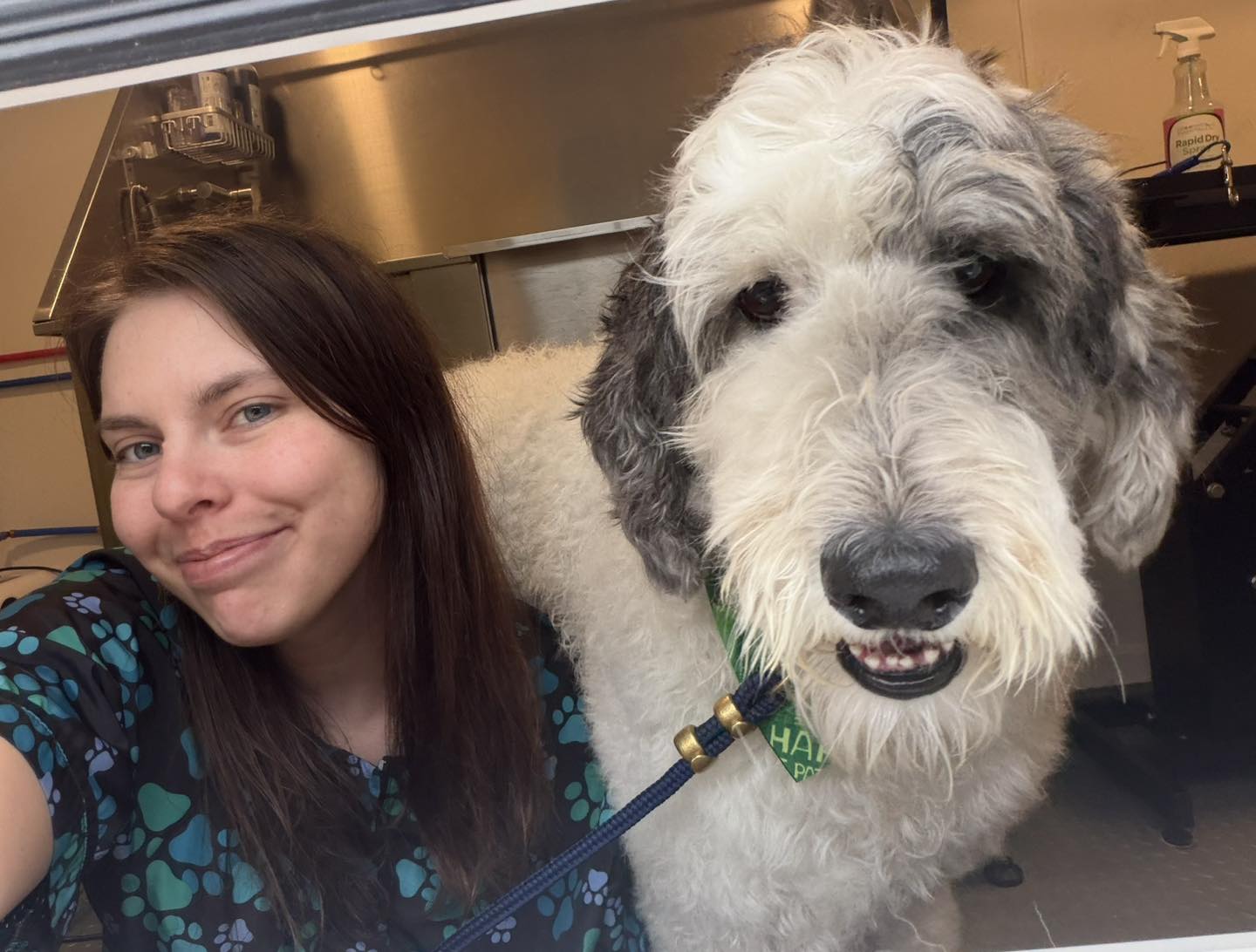 The Dog Lady: Marion Il Pet Services Facebook ad: Just two besties hanging out until his Mom…
