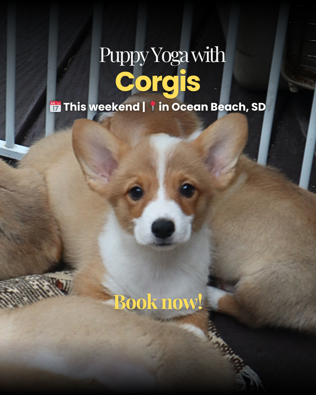 Puppy Yoga Club Facebook ad