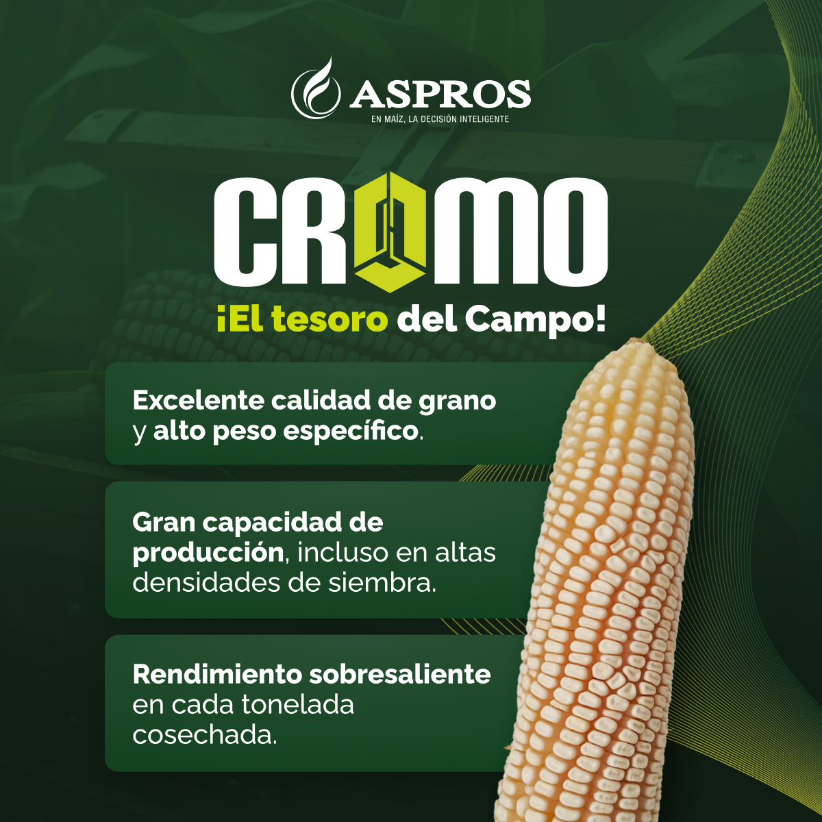 Aspros Semillas Facebook ad