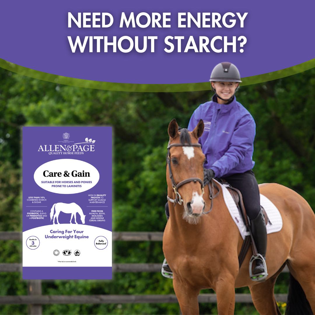 Allen & Page Horse Feeds Facebook ad: Work increasing this spring?