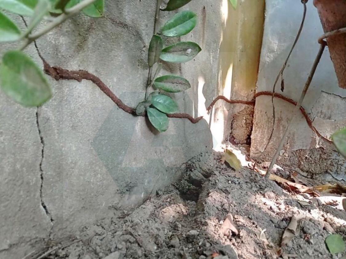 Amazing - Termite & Pest Management Facebook ad: အိမ်ဆောက်ပြီးမှ