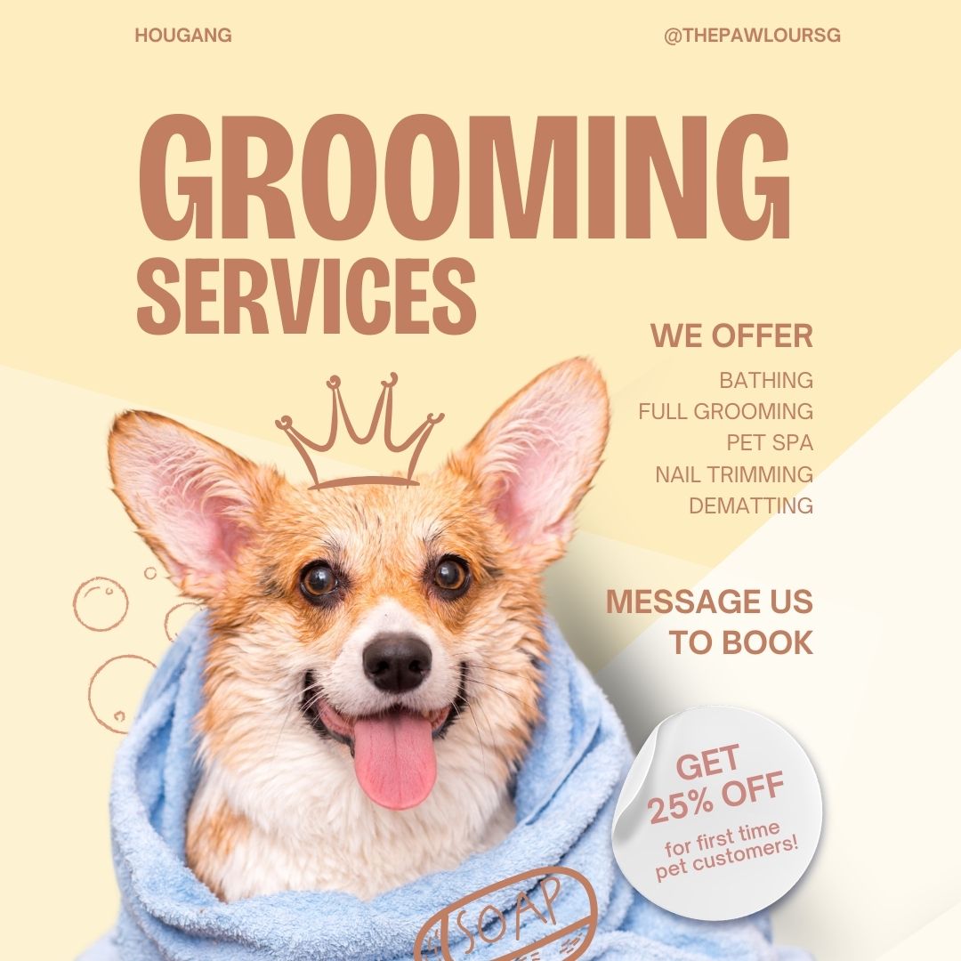 The Pawlour - Hougang Facebook ad: Book Appointment Now