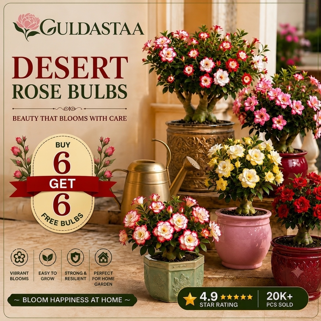 Diwali Dhamaka Deals Facebook ad: BUY 6 GET 6 FREE!