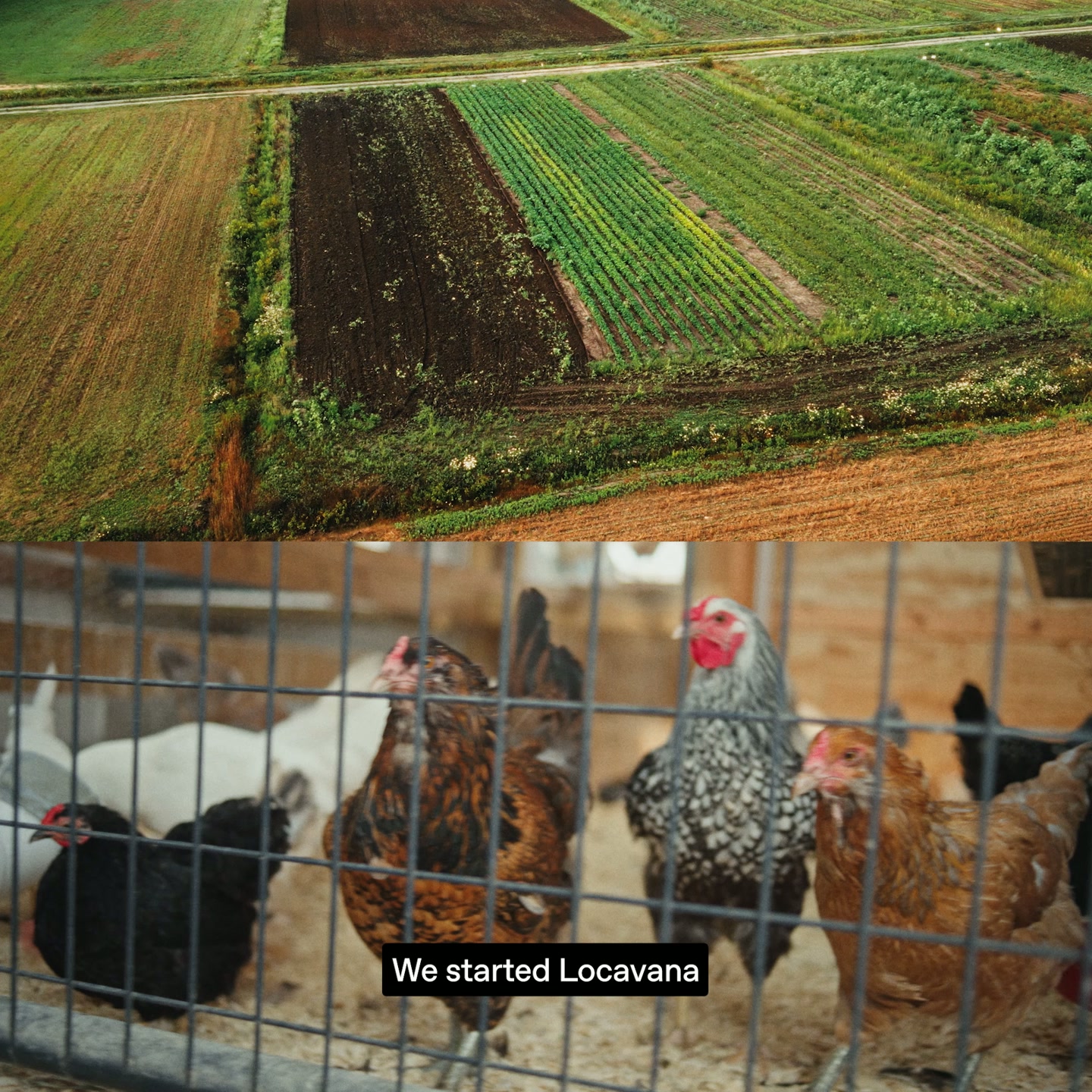 OpenAI Facebook ad: Locavana uses ChatGPT and Codex to connect local…